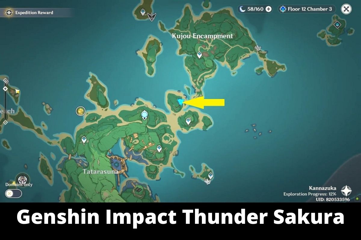 Genshin Impact Thunder Sakura
