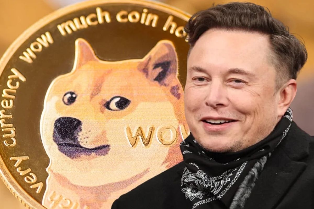 Elon Musk’s New Twitter Profile Picture