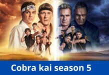 Cobra Kai Season 5