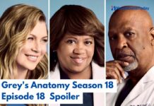 Grey's Anatomy Season 18 Episode 18 Spoiler
