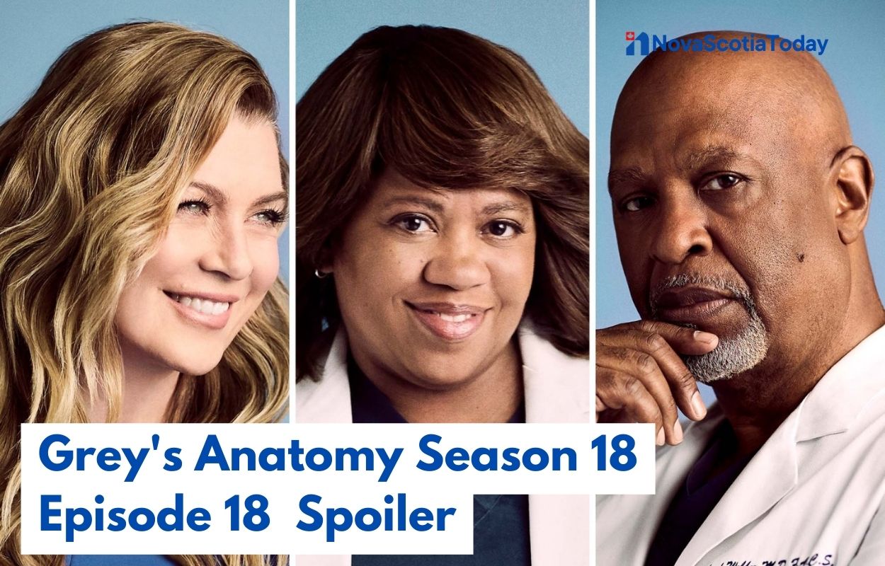 Grey's Anatomy Season 18 Episode 18 Spoiler