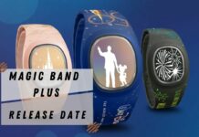 Magic Band Plus Release Date