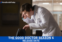 the good doctor season 6