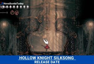 hollow knight silksong Release Date Status