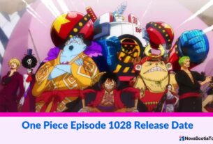 One Piece Episode 1028 Release Date Status