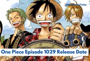 One Piece Episode 1029 Release Date Status