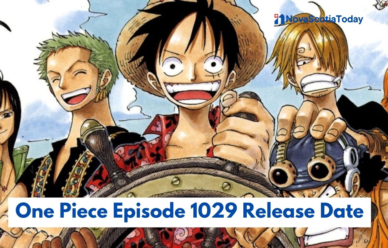 One Piece Episode 1029 Release Date Status