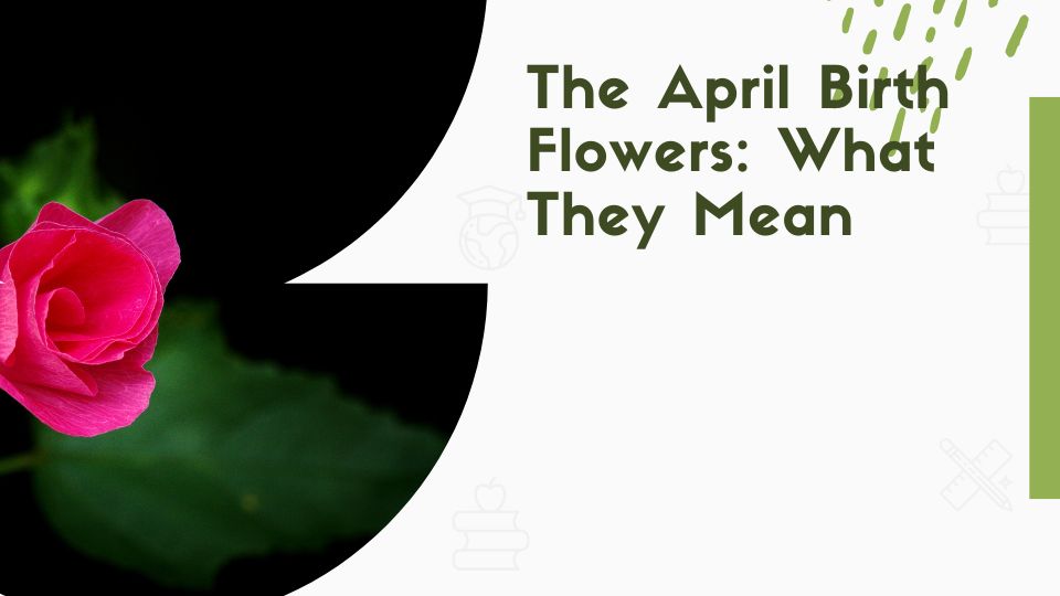The April Birth Flowers: What They Mean