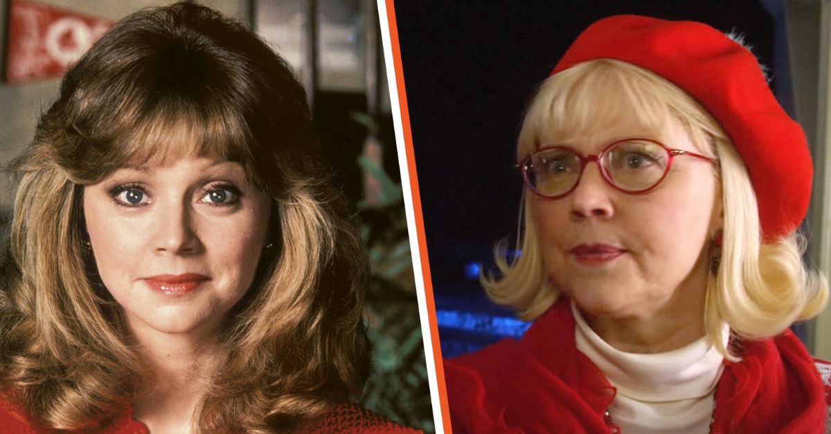 What Happened To Shelley Long